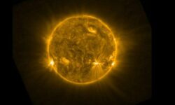ثبت پدیده‌ای عجیب توسط ناسا؛ خزیدن ماری آتشین روی خورشید