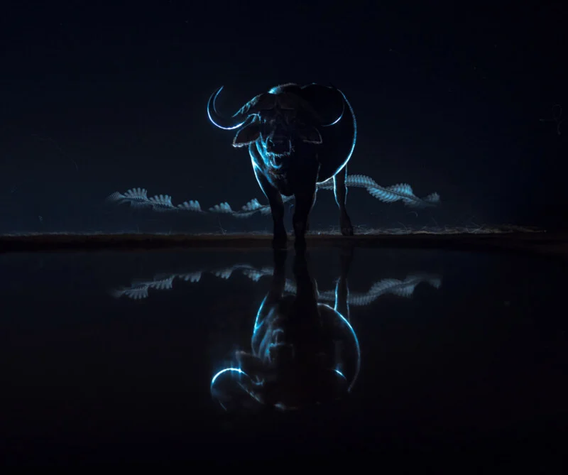 مسابقه عکاسی سونی ۲۰۲۶