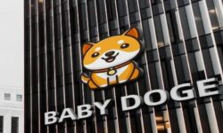 معرفی کامل ارز دیجیتال بیبی دوج (BABYDOGE)