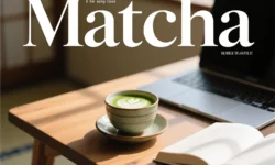 راز پشت پرده ترند ماچا؛ چرا با یک فنجان سبز دنیا تسخیر شد؟