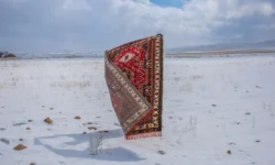 ۳ ایرانی که در مسابقه عکاسی سونی ۲۰۲۶ جهانی شدند؛ تحلیل اثار