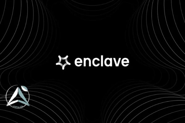 هوش مصنوعی Enclave AI: چت با مدل‌های گوگل بدون اینترنت